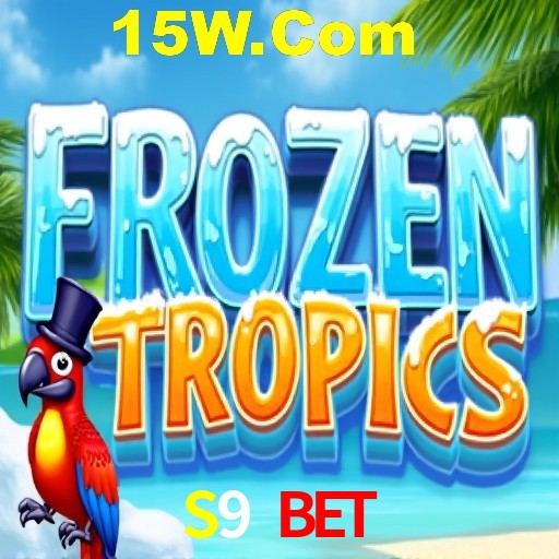 Sistemas de Segurança S9 Bet